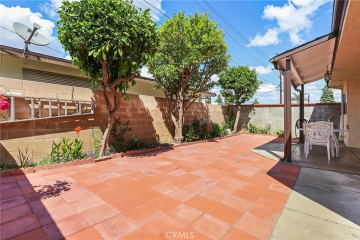 Back yard