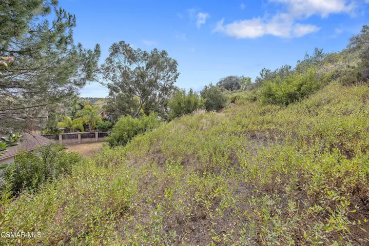 315 Longwood Ct Thousand Oaks-print-010-