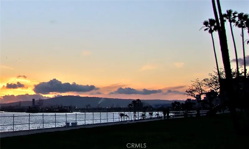 Long Beach lifestyle 2