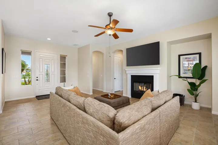 81819 Brittlebush L