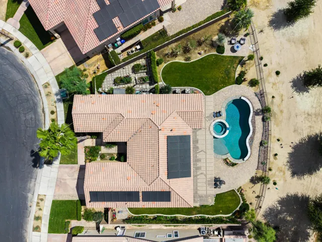 81819 Brittlebush L