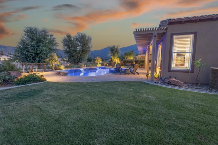 81819 Brittlebush L