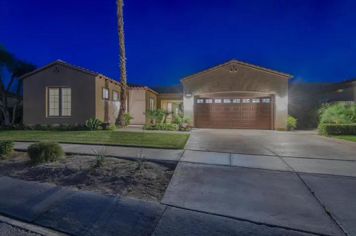 81819 Brittlebush L