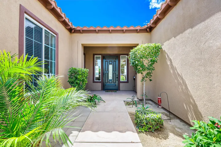 81819 Brittlebush L