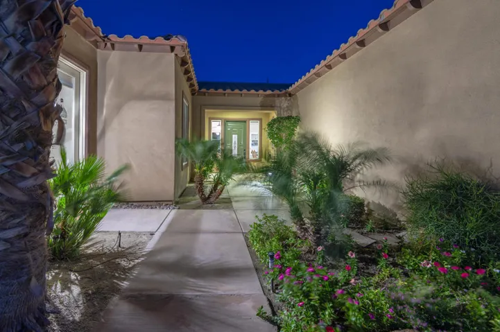 81819 Brittlebush L