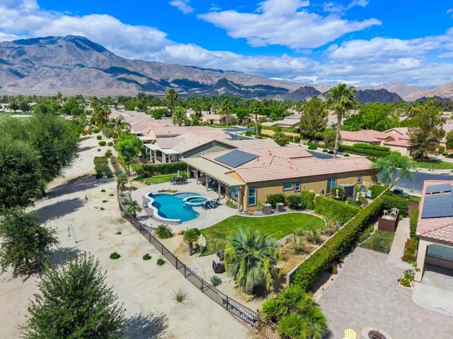 81819 Brittlebush L