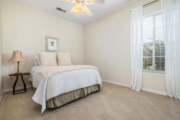 81819 Brittlebush L