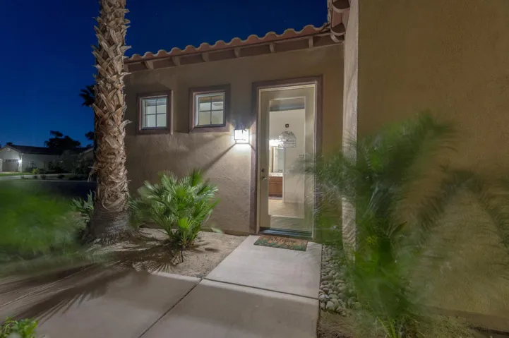 81819 Brittlebush L