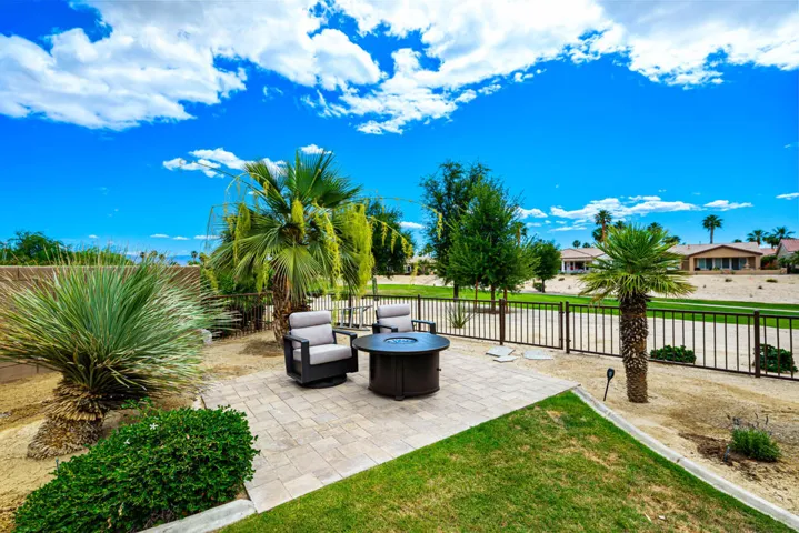 81819 Brittlebush L