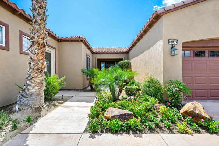 81819 Brittlebush L