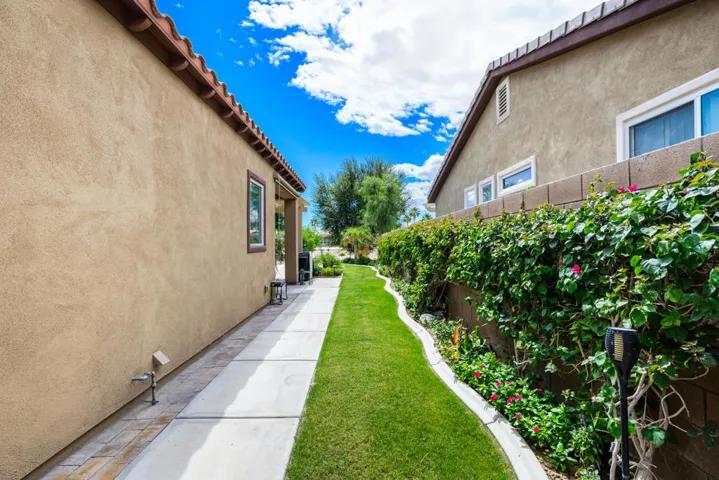 81819 Brittlebush L