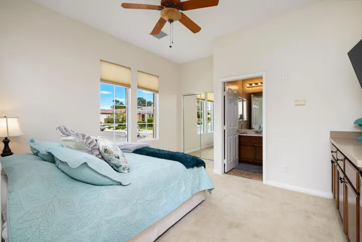 81819 Brittlebush L