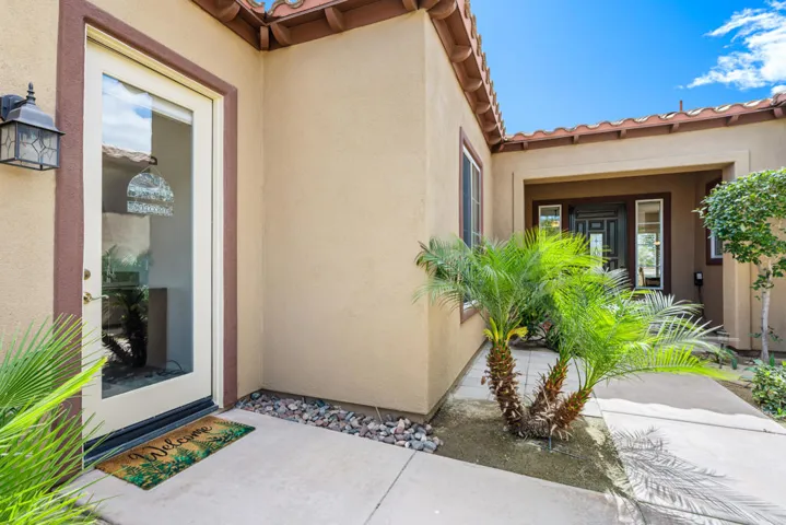 81819 Brittlebush L