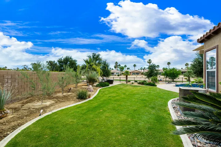 81819 Brittlebush L