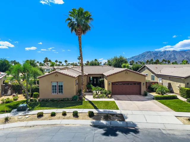 81819 Brittlebush L