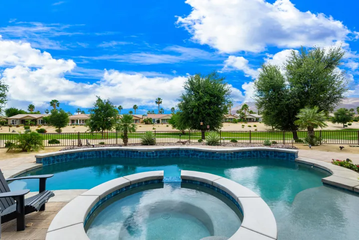 81819 Brittlebush L