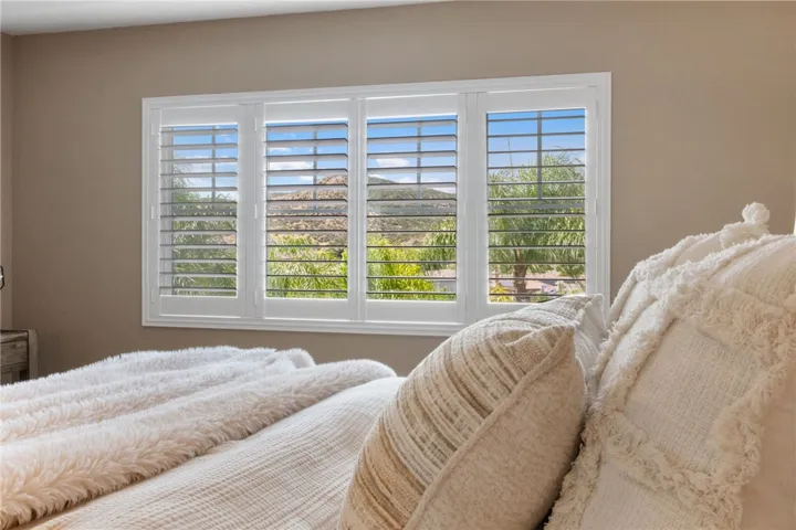 Views out of the primary windows