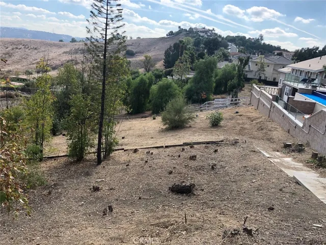 Back yard. Property line is where the White fence is.