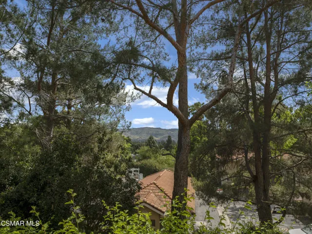 View from Patio