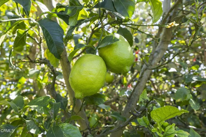 64-web-or-mls-SeaoroStudios-630R060