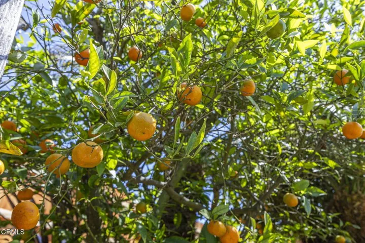 61-web-or-mls-SeaoroStudios-630R011