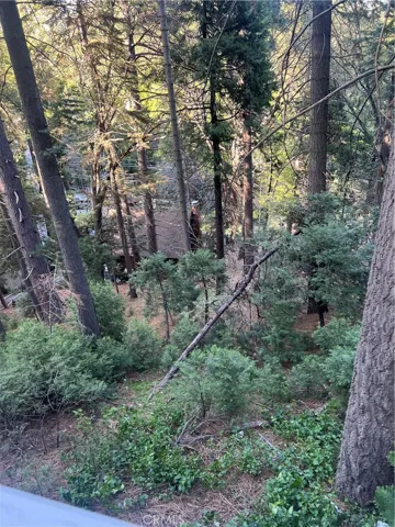807 Sierra Vista, Twin Peaks, California 92391