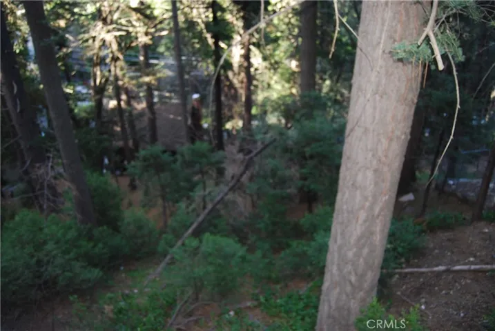 807 Sierra Vista, Twin Peaks, California 92391