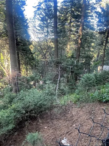 807 Sierra Vista, Twin Peaks, California 92391