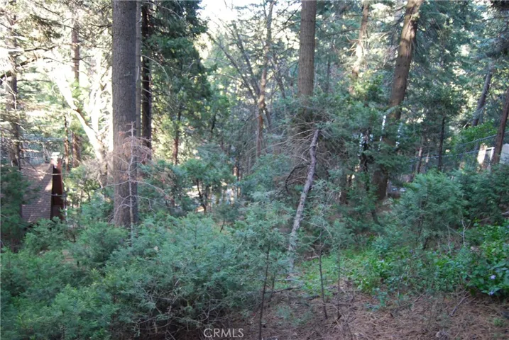 807 Sierra Vista, Twin Peaks, California 92391