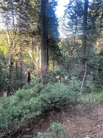 807 Sierra Vista, Twin Peaks, California 92391