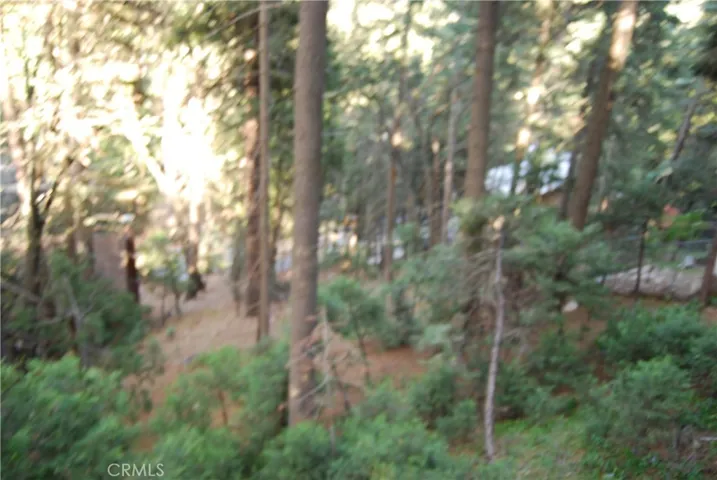 807 Sierra Vista, Twin Peaks, California 92391