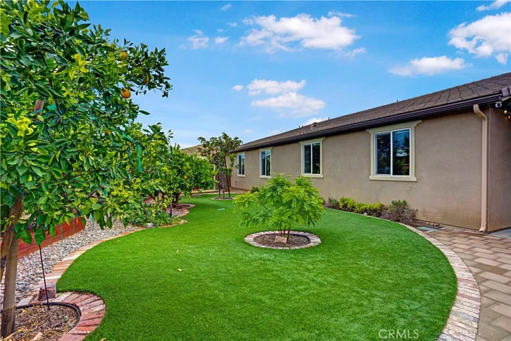 Back yard