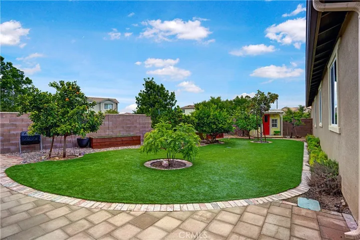 Back Yard