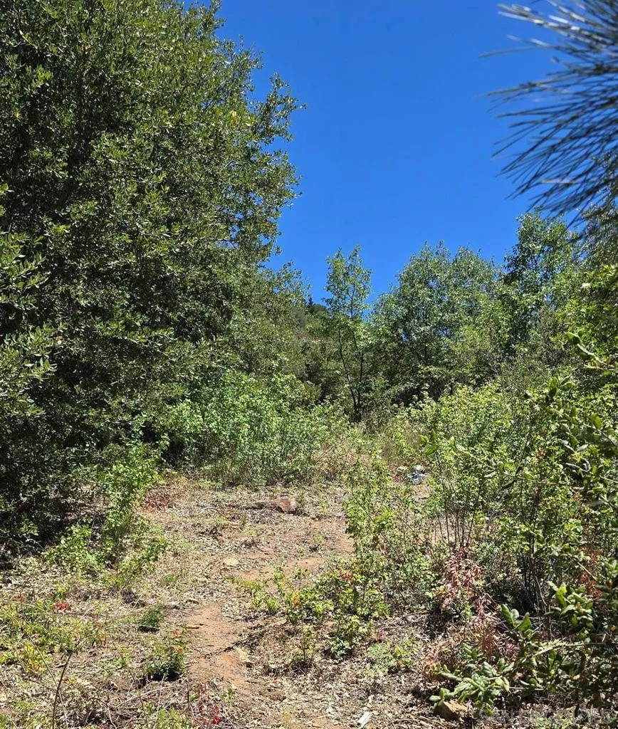 0 Smokey Lane, Julian, California 92036 — photo 4