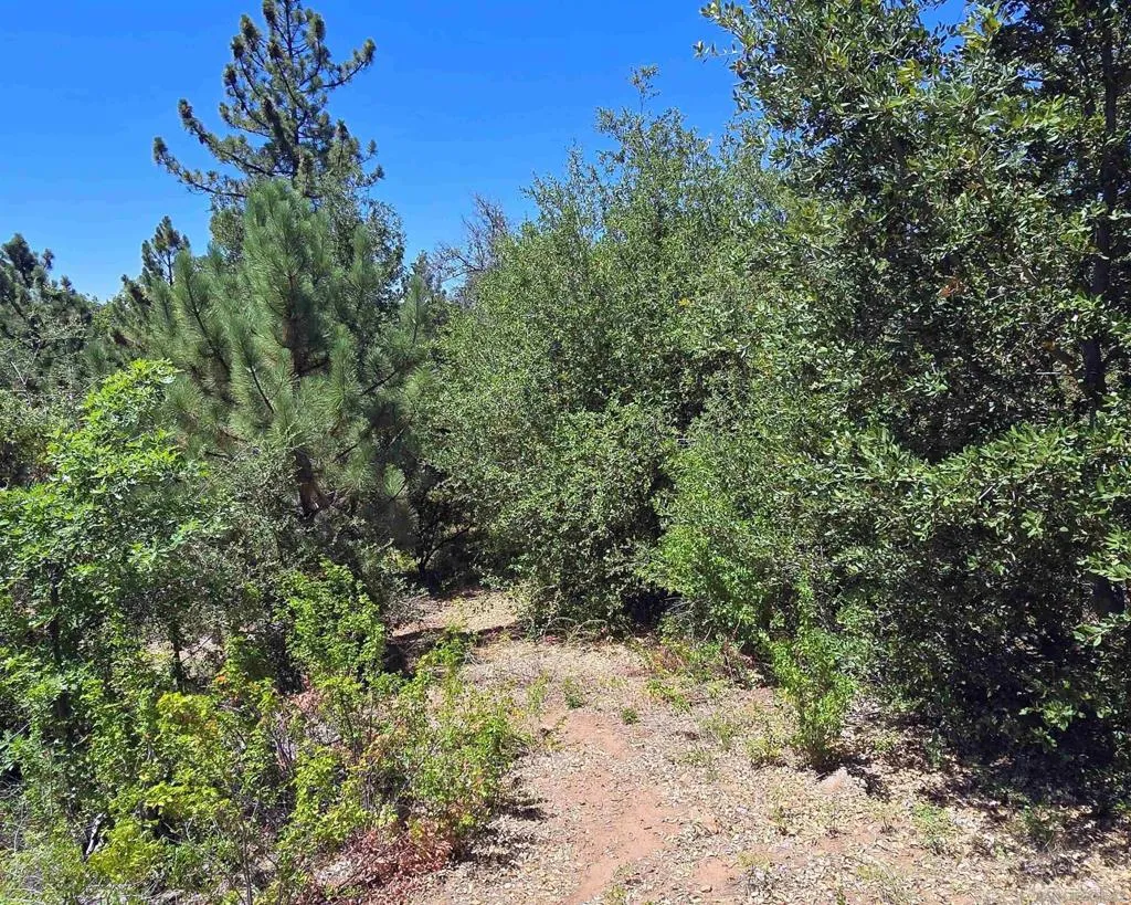 0 Smokey Lane, Julian, California 92036 — photo 5