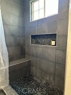 Secondary/Guest Bathroom Shower