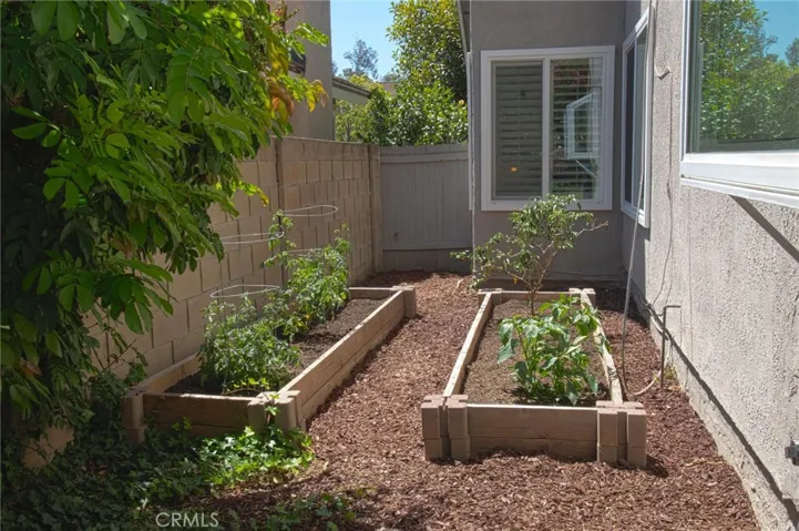 Create your own Michelin
meal with fresh herbs!