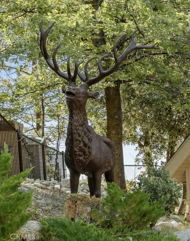 Welcome to the Elk View Lodge!