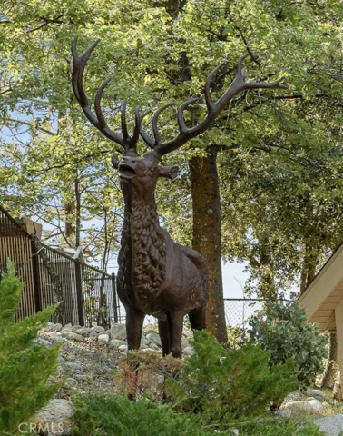 Welcome to the Elk View Lodge!