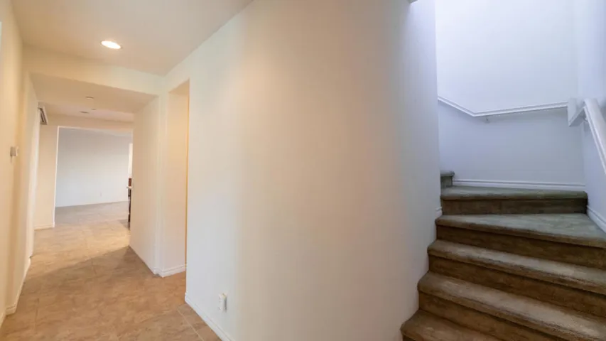 Calle Vibrante-3