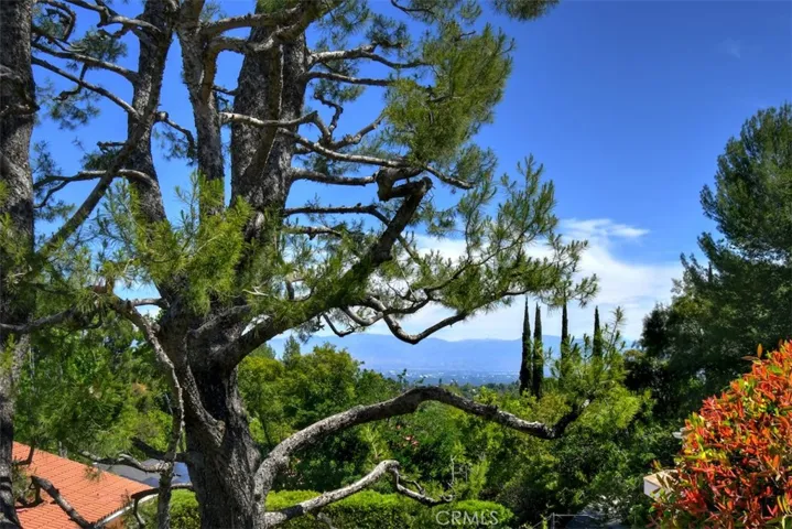 Nature and Views