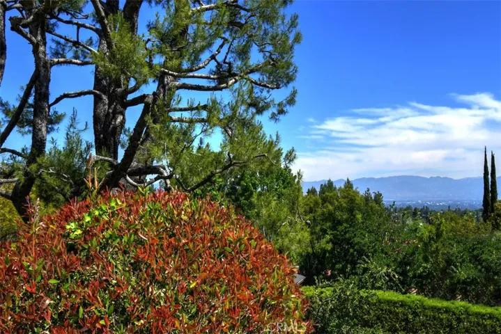 Nature and Views