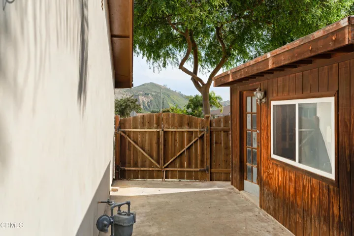 Shed and Side YArd