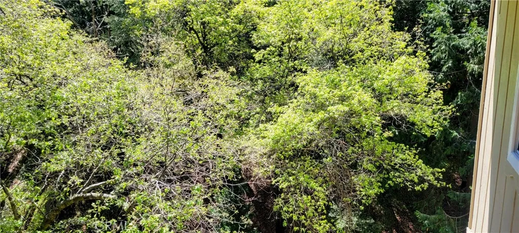 View from deck