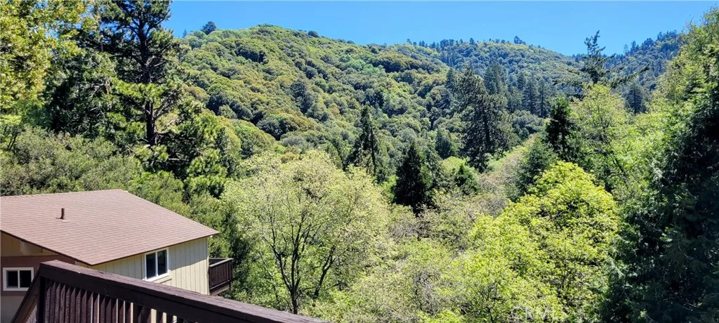 View from deck