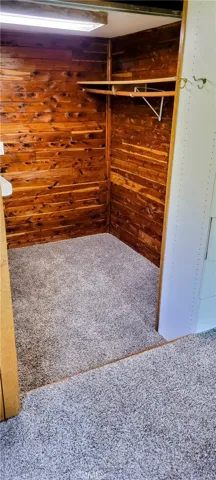 Bedroom 2 walk-in closet