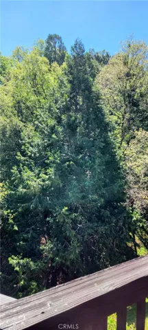 view from deck