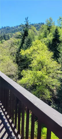 View from deck