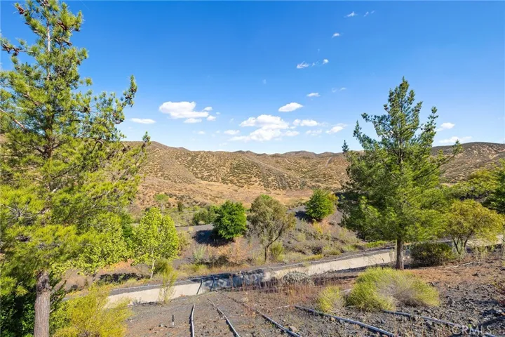view from behind the backyard fence