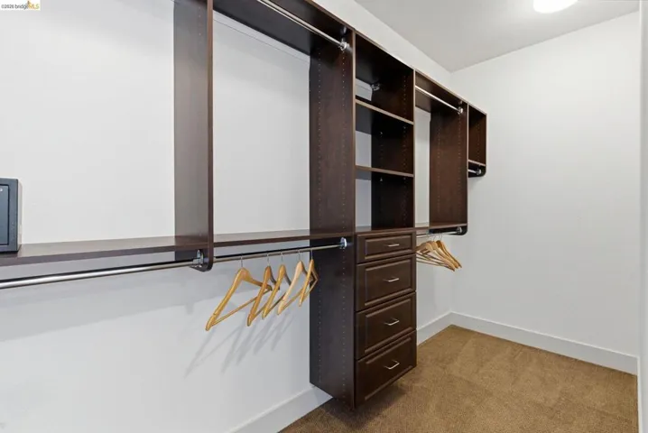 Walk in closet with light colored carpet